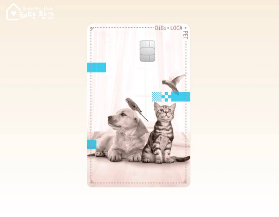 롯데카드 디지로카 펫 (Pet) 혜택, 이용 실적, 장단점 정리