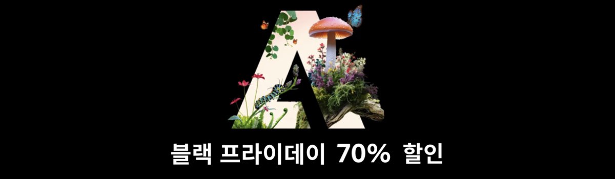 어도비 블랙프라이데이 할인